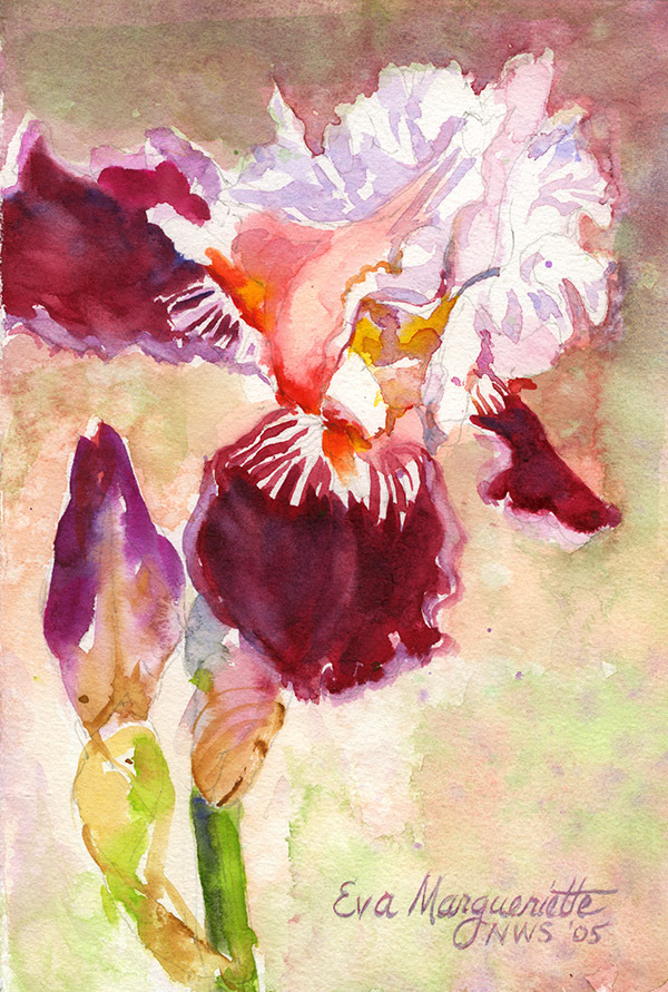 early spring iris