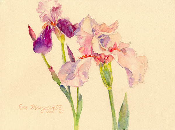 iris-garden